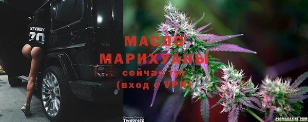 сатива Алзамай