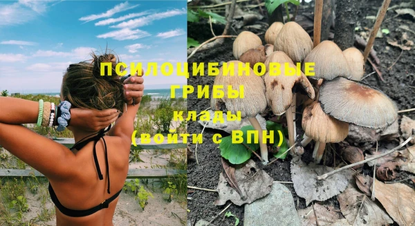 соль курить ск Елизово
