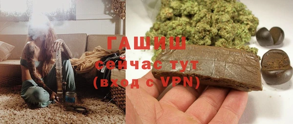 сатива Алзамай