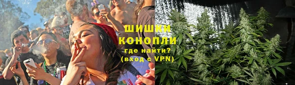сатива Алзамай